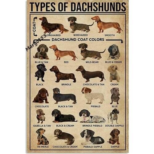 Dachshund Retro Vintage Tin Sign Bar Cafe Art Bar Decoration Living Room Bedroom Office Decoration 20X30 cm farmhouse decor