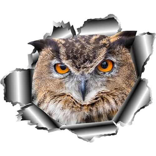 PLAY COOL 3D Owl Car Sticker Torn Metal Full Color Decal Reflective Stickers Animal Decals Waterproof Styling