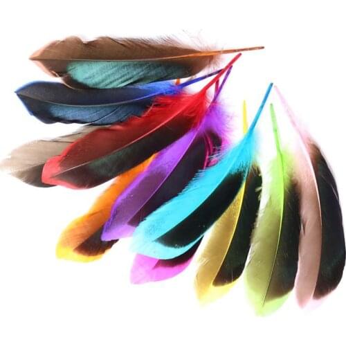 20 PCS Natural High Quality Wild Duck Feathers 4-6 Inches / 10-15cm Long, Diy Pheasant Feather Jewelry Decorative Accessories