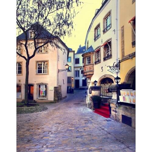 5x7ft House Tree Stone Street Photography Backdrops Photo Props Studio Background