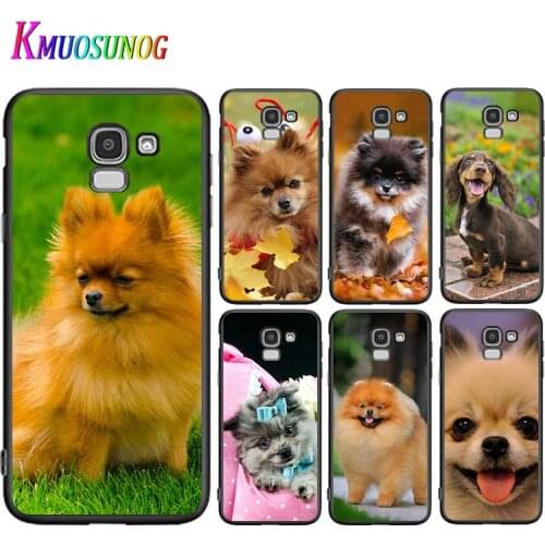 Funny Pomeranian dog For Samsung Galaxy J2 J3 J4 Core J5 J6 J7 J8 Prime duo Plus 2018 2017 2016 Silicone Phone Case