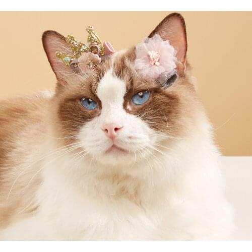 Pet puppy cat hairpin fur bow tie dog lace hairpin pet dog grooming pet fur