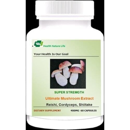 Mushroom Complex Chaga Cordyceps Reishi Lions Mane Maitake Turkey Tail Shiitake