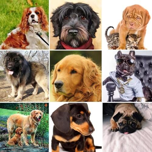 40/50/60 Diamond Painting Animal Dog Full Square Drill 5D DIY Diamond Embroidery Animals Mosaic Sale Rhinestone Art Home Decor