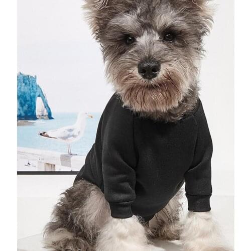Pullover Soft Pet Spring Two-legged Coat Pet Supplies Pet Shirt Non-shrink for Autumn