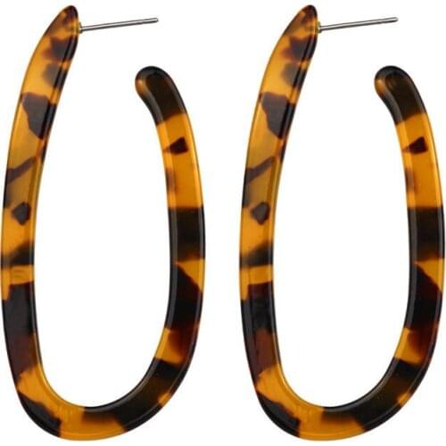New Tortoise Color Leopard Print Acrylic Acetic Acid Geometric Irregular Long Drop Dangle Earrings for Women Fashion Jewelry