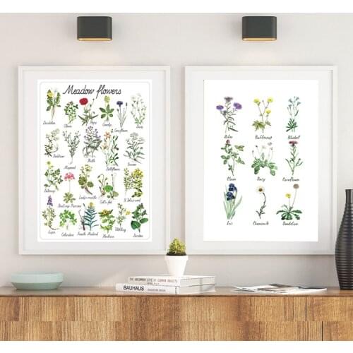 Wild Flowers Chart Canvas Painting Plant Flower Species Botanical Educational Poster Print Wall Picture Kids Room Wall Art Decor