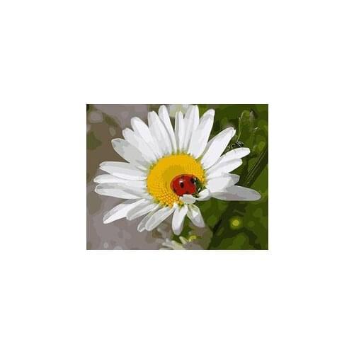 MaHuaf-X522 sunflowers ladybug DIY painting by numbers flowers Hand Painted Framed Acrylic Picture coloring by numbers on canvas