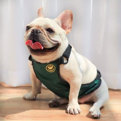 Dog Corgi Apron Protect Tummy Waterproof Pet Clothes For Small Medium Short Leg Dogs Clothing Pug Schnauzer French Bulldog CTC02