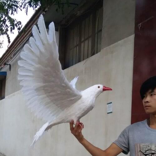 New big simulation wings pigeons toy polyethylene & furs white dove doll gift about 42cm 2292