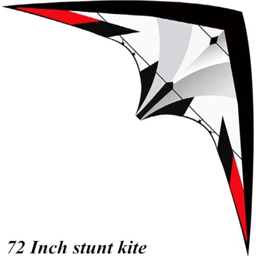 Outdoor Fun Sports Taishan Mountain Stunt Kite Assassin Factory Outlet Toys