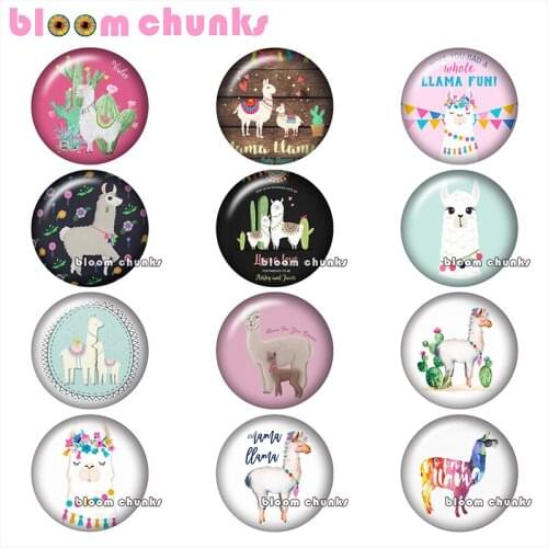 RAlpaca cactus ound photo glass cabochon demo flat back Making findings 12mm/18mm/20mm/25mm A9601