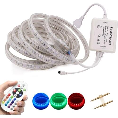 RGB Led Strip Rope Tape 5050 60Leds/M Flexible Ribbon Diode Outdoor Lighting 220V AC Waterproof Led Stripe with Remote Control