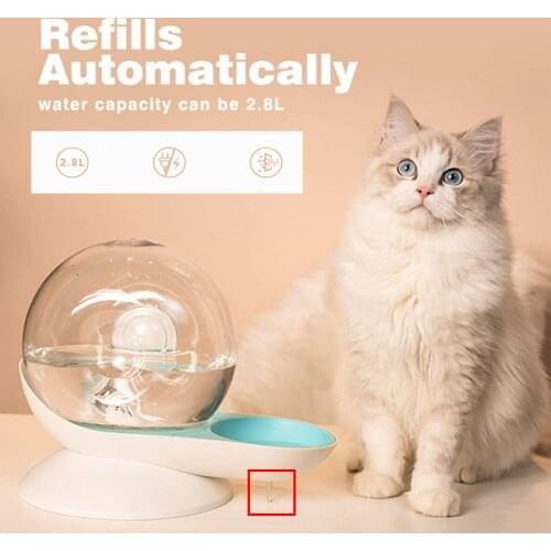 Cat Dog Water Dispenser Automatic Drinking Fountain for Cats Small Size Puppy Kitty Easy to Clean Snail Shaped Water feeder Bowl