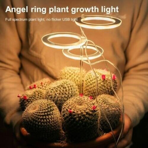 VIBRATITE Plant Lamps