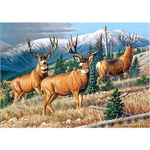 Needlework for embroidery DIY French DMC High Quality - Counted Cross Stitch Kits 14 ct Oil painting - Up the Mountain