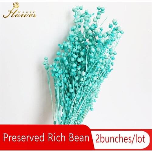 40-50g Preserved Rich Beans Dry Natural Real Jumble-beads Decor Thanksgiving Flower Head Fall Dry Flower Pink Room Decoration