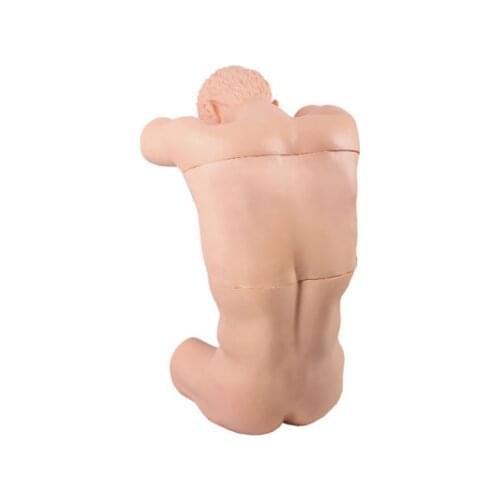 Thoracic And Lumbar Puncture Model BIX-CK812 WBW225