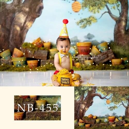 Newborn Backdrop for Photography Baby Shower Birthday Party Newborn Fairy Photo Background for Children Portrait Backdrop Studio