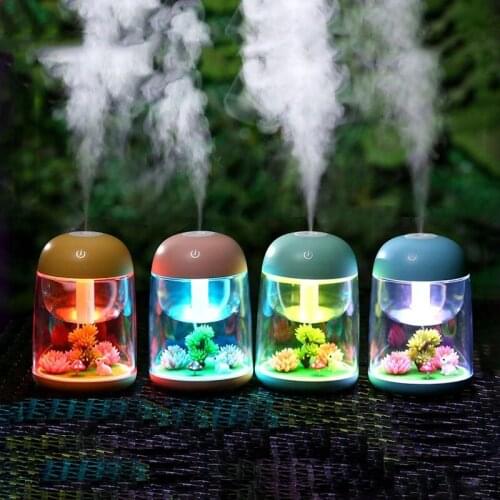 Spray Air Purifier Diffuser Aromatherapy Mini Portable Mist Humidifier Transparent Micro-landscape with LED Lights for Home