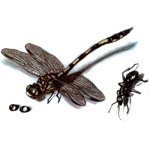 5pcs Dragonfly Waterproof Temporary Tattoo Sticker Ant Harajuku Men Fake Tattoo girl Tatouage temporaire Henna Tatoo sleeve