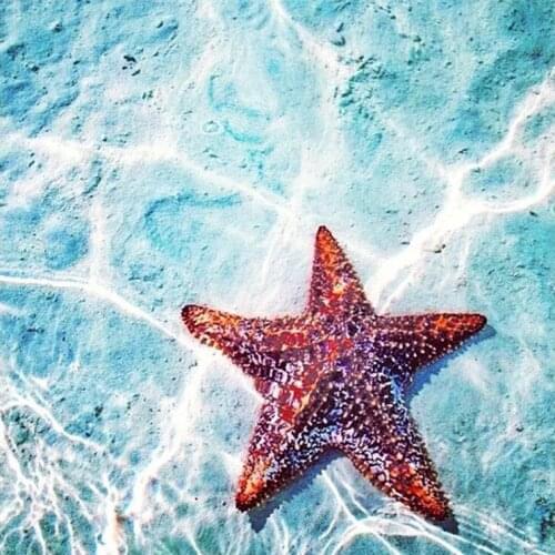 5D DIY Diamond Painting Cross Stitch Seastars Landscape Needlework Diamond Embroidery Full Diamond Decoration