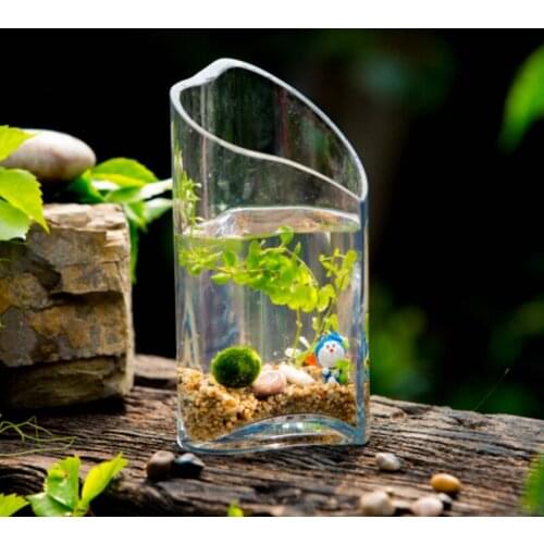 Modern Creative glass vase fish tank heart-shaped Hydroponic Container Flower Vases weddings home decoration J