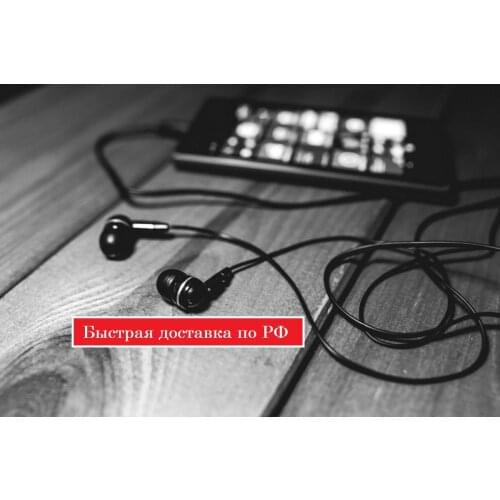 МирБлоггера In-ear Headphones