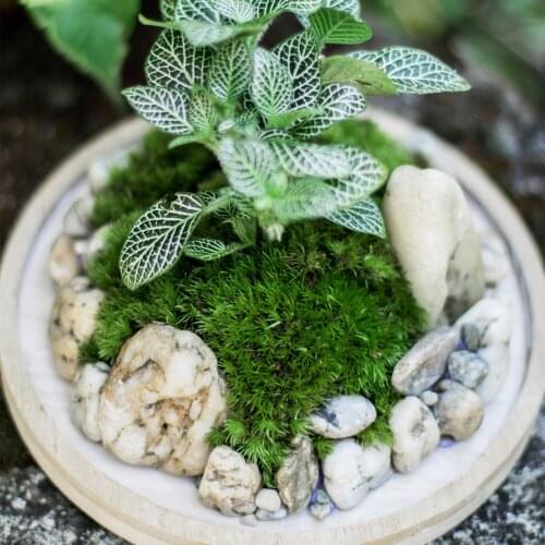 Moss Lawn Crafts Green Artificial Flower Simulation Gardening Supplies Home Decor Wedding Eco Friendly Potted Plants Materials