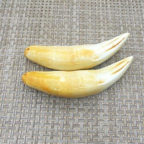 Replica resin Tiger tooth pendant animal tooth pendant protective talisman Pendant Black bear tooth