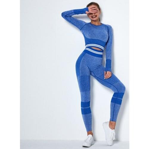 Women Autumn Seamless Stripe Patchwork Yoga Set Gym Running Suit Elastic Hollow Out Long Sleeve Top & High Waist Tight Legging