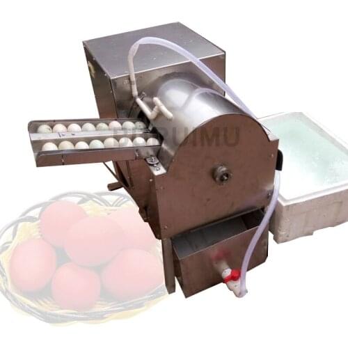 Egg Washer Machine Double Row Duck Egg Washing Manufacturer Goose Egg Cleaning Maker