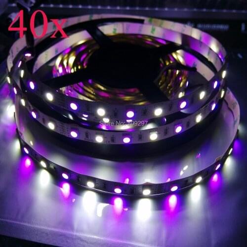 FREE DHL/FEDEX 200m/lot 5050 RGBW LED strip,RGB+WW/RGB+CW 300LED DC12V non waterproof LED strip 60LED/m 95668