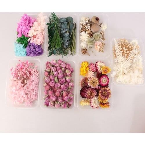 1 Box Real Dried Flower Dry Plants For Aromatherapy Candle Epoxy Resin Pendant DIY Accessories Handmade Toys