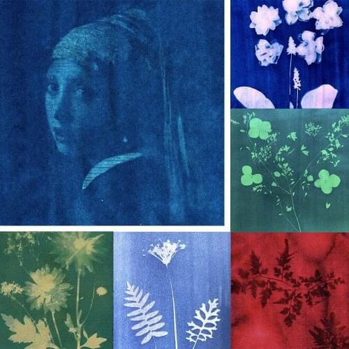 A4 Sun Activated Nature Print Paper Sun Activated Suncreations Cyanotype Paper High Sensitivity Sunprint Printing Paper 12pcs