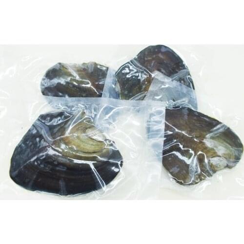65pcs freshwater pearl oysters 6-7 mm pearl