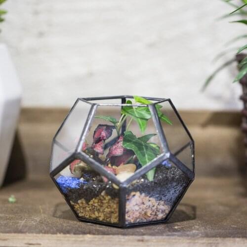Handmade Artistic Clear Pentagon Dodecahedron Glass Geometric Terrarium Succulent Fern Moss Plant Microscape Bonsai Flower Pot
