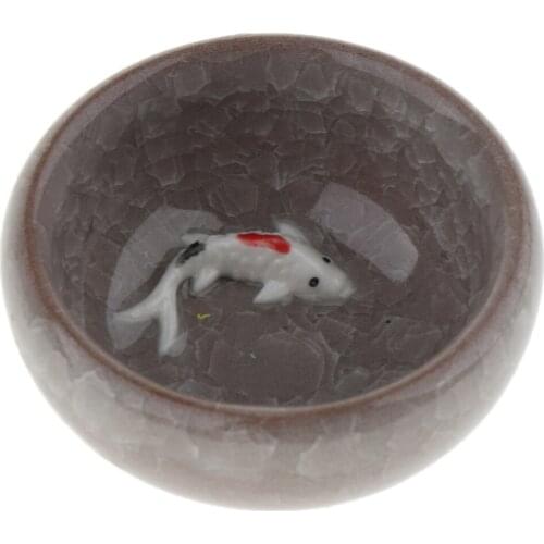 Reptile Terrarium Tortoise Scorpion Crabs Water Bowl Pets Supplies