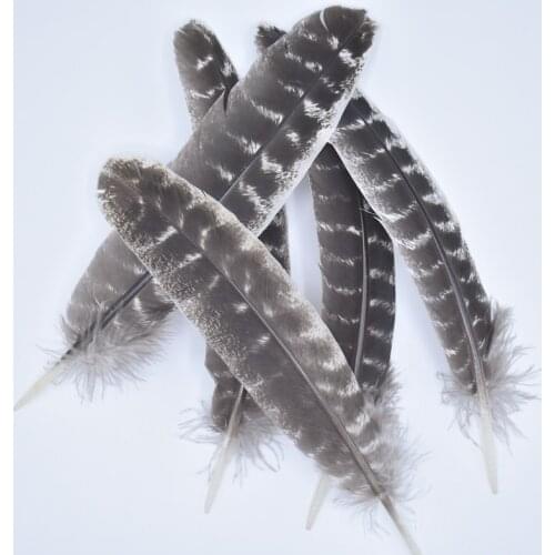 10Pcs/Lot Real Natural Eagle Feathers Eagle Bird Feathers for Crafts feather decor Feathers Decoration Carnaval Assesoires plume