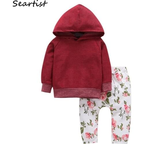 Baby Clothing Sets Children Birthday suit Boys Tracksuits Kids Brand Sport Suits Hoodies Top +Pants 2pcs Set 25