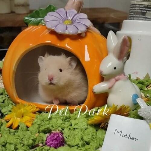 Ceramic Hamster House, Pumpkin Shape Small Animal, Hamster House Cave Mini Hut Cage Critter Bath House for Chinchilla Hamster