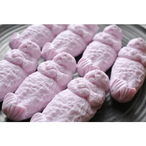 Silicone Mold Shape Animals Handmade DIY Soap Mould Good Molds Aroma Stone Moulds Otter Soap Cute Silicone Rubber PRZY 001