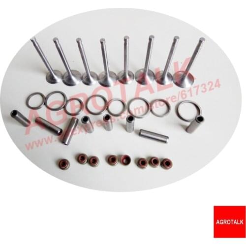 Set of valve group as picture showed for Shanghai Newholland engine 495A for tractor like SH504, SNH504