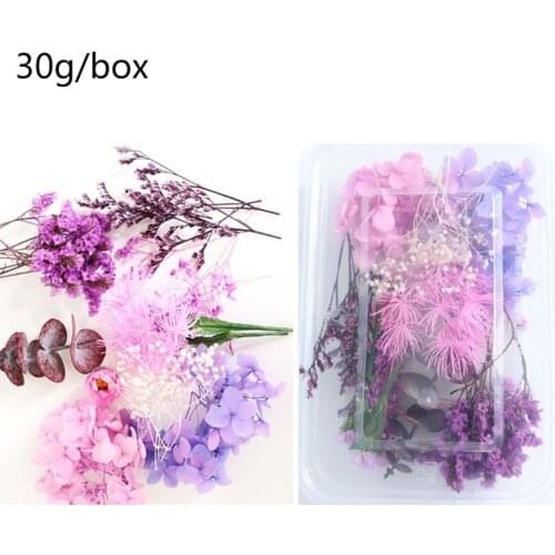 1 Box Real Mix Dried Flowers for Resin Jewellery Dry Plants Pressed Flower