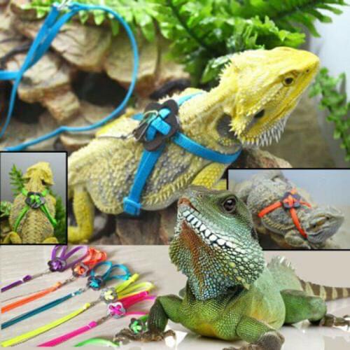 6 Color Reptile Lizard Harness Leash Polyester Adjustable Hauling Cable Rope Small Animal Collar Pet Style Durable Multicolor