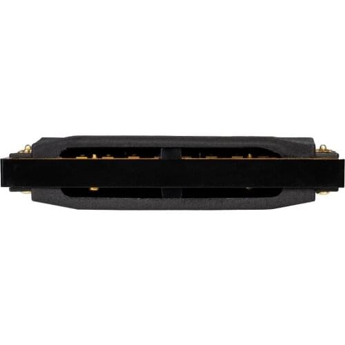 Hoodoo Blues Harmonica 3-Pack with Case C D G Key Harmonica Set