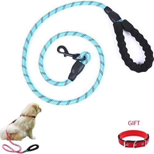 1.5M Pet Leash Dog Leash Reflective Strong with Comfortable Padded Handle Heavy Duty Training Durable Nylon Rope Leashes
