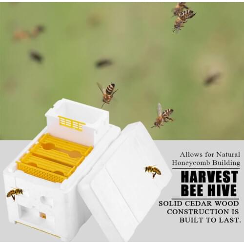 Double Layer More Closed Equipment Queen Bee Mating Box Suitable For Bee Mating Copulation Queen Reserve Beekeeping Tool