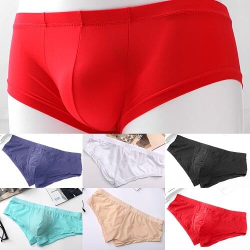 Mens Ice Silk Panties Ultra-thin Silky Breathable Transparent Low Waist Briefs Comfortable Cool Underwear Male