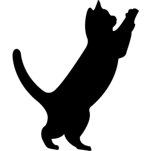 10.8*12.7CM Cute Cat Funny Vinyl Decal Car Stickers Classic Animal Window Decoration Accessories C6-0797